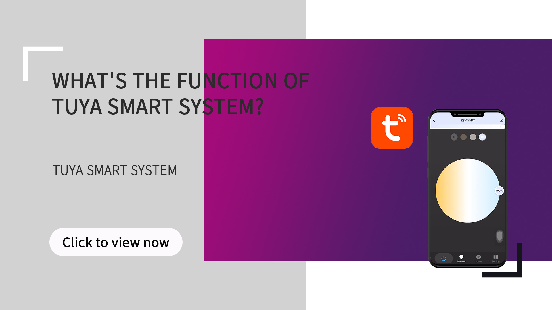 Was ist die Funktion des Tuya-Smart-Systems?